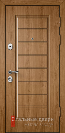 Взломостойкая дверь №19